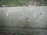 image of grave number 431908
